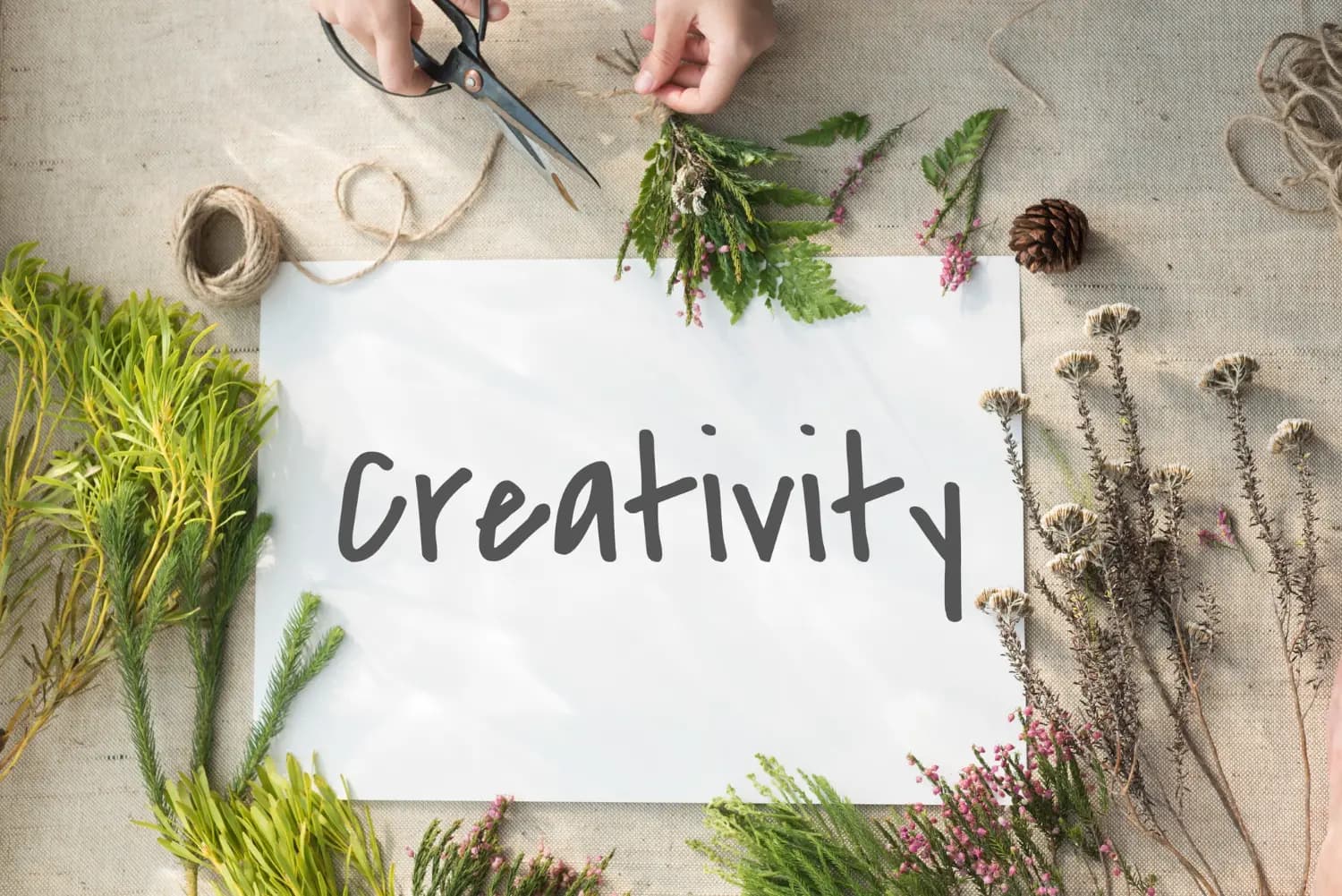 Creative Designing